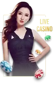 lol646 website image 315 showing live casino category