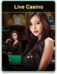 LOL646 live casino platform for secure login register online casino games and app download
